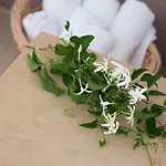 Lejlighedshotel Aspro Hersonissos (Crete)