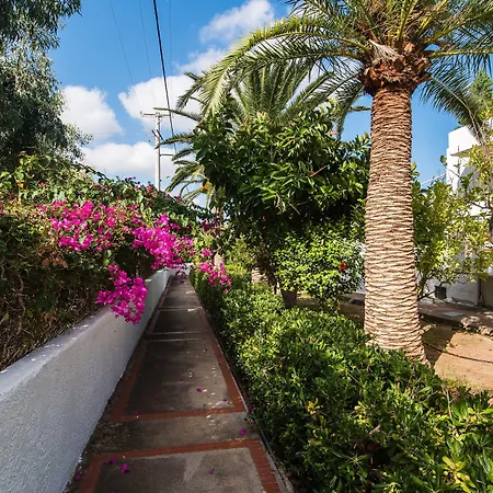 Aspro 2* Hersonissos (Crete)