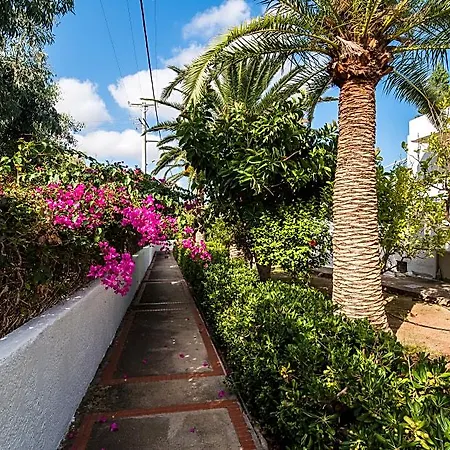 Lejlighedshotel Aspro Hersonissos (Crete)