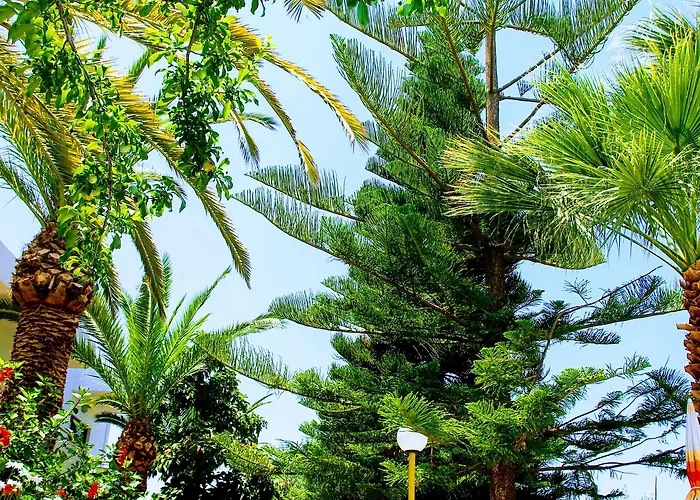 Aspro Lejlighedshotel Hersonissos (Crete)