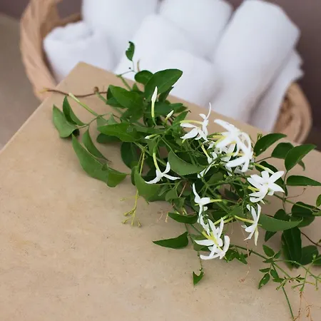 מלון דירות Aspro הרסוניסוס